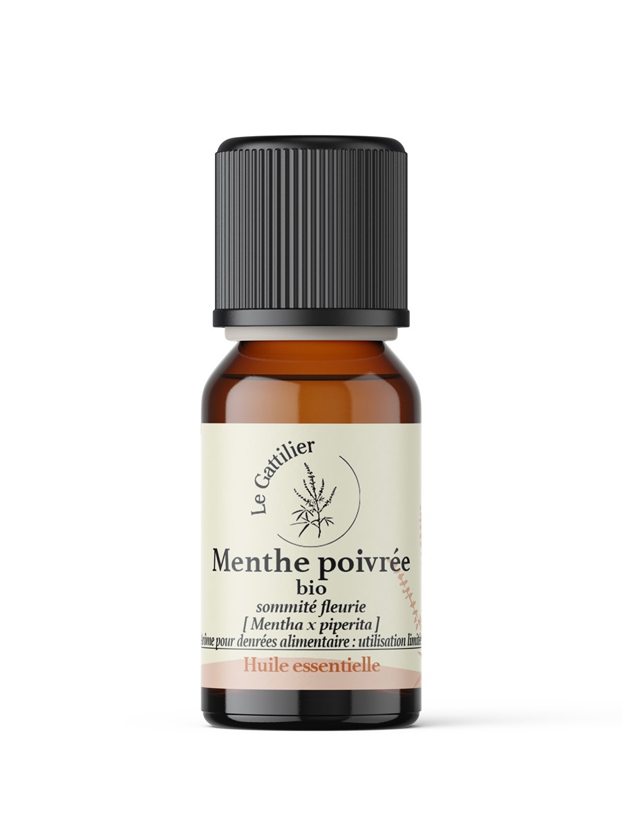 Huile essentielle de menthe poivrée, Mentha x piperita, Aromathérapie